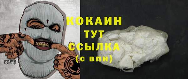дмт Козловка
