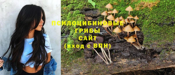 Альфа ПВП Киренск