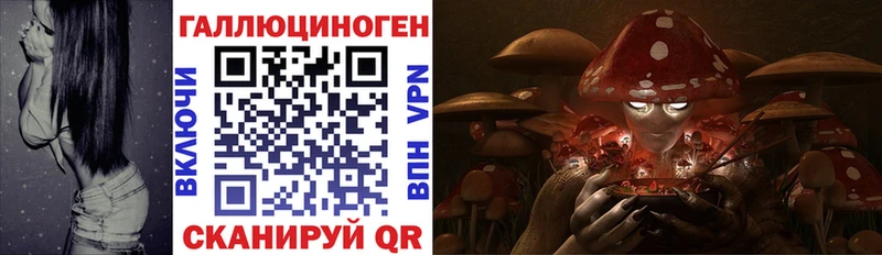 Купить  Ртищево  Псилоцибиновые грибы ЛСД 